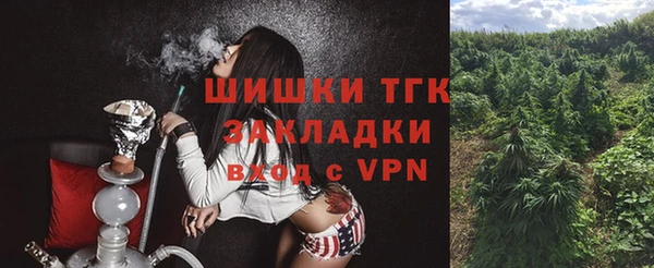 прущий лед Алзамай