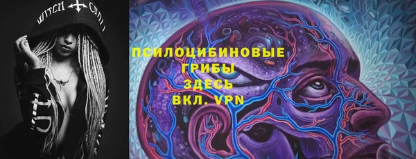 прущий лед Алзамай